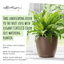 Classico Pot Planter-16493100-16493101
