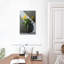 Harnek tulipes dans un vase-108365165
