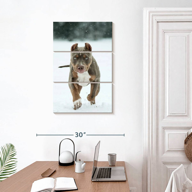 Brampt Pit Bull On Snow, 32" H x 20" W