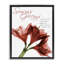 Cadre flottant saisonnier Amaryllis, par Albert Koetsier-631994455-631994452