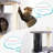 Evica 60.24'' H Cat Tree