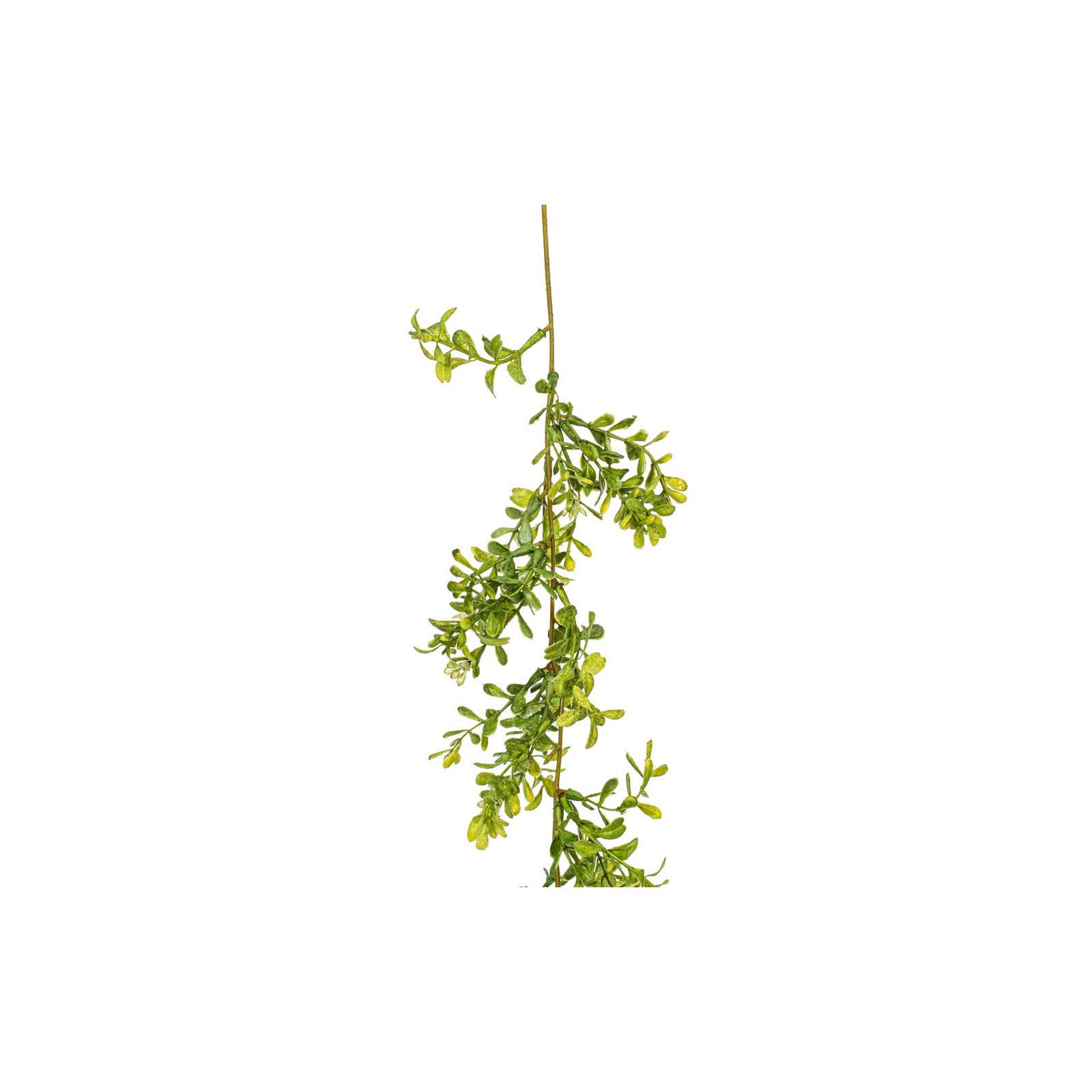 72'' in. Faux Boxwood Garland
