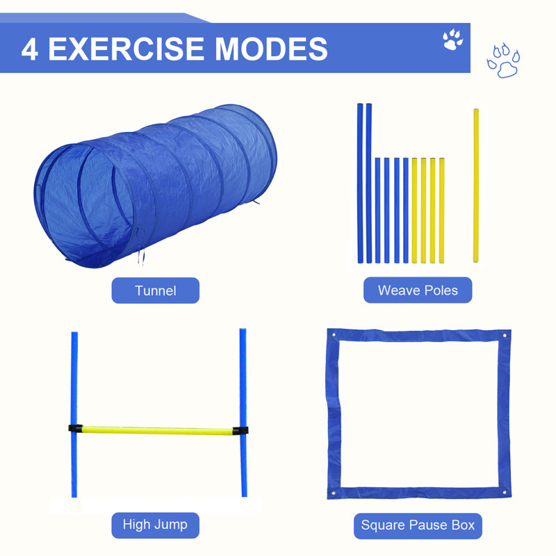 Blue and Yellow Dog Agility Training Course Kit