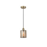 Cobbleskill 1 - Light Single Drop Pendant Pendant