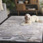 Tapis ivoire / gris Maya 110-319523647