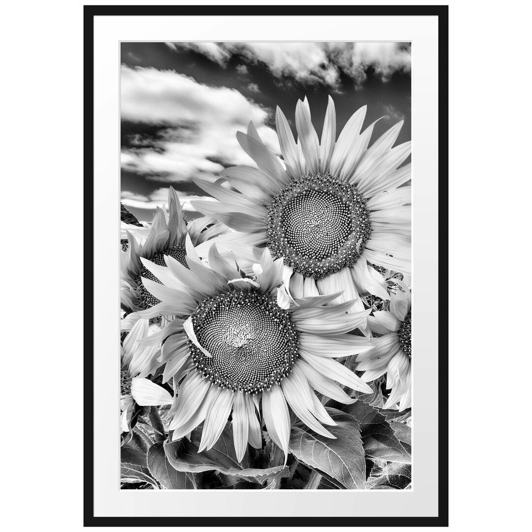 Gerahmtes Poster Sonnenblumenwiese unter Himmel