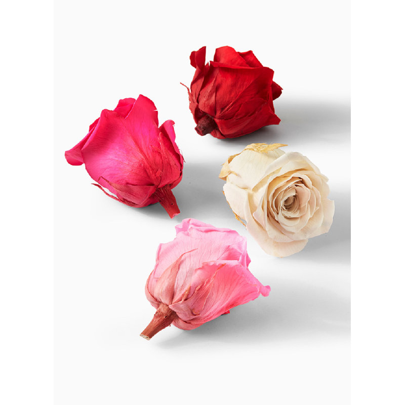Preserved Rose Arrangement, Pink