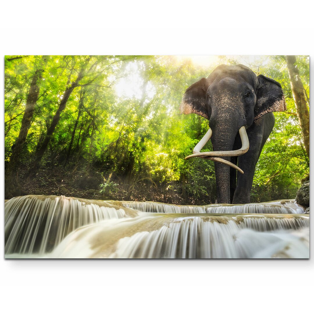 Leinwandbild Elefant an den Erawan Wasserfällen in Thailand