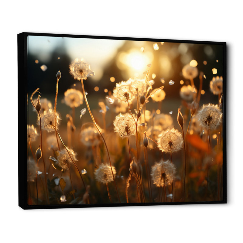 Coucher de soleil pissenlit champ V - décoration murale florale, Cadre flottant noir, H 30 po x l 40 po x P 1,5 po