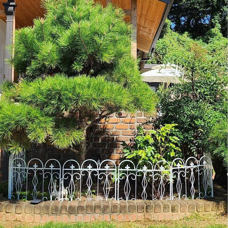 Coeymans 70cm H x 61cm W Metal Fence Panels Included, White