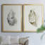 Oysters On The Bay III - Ensemble de 2 reproductions d'art sur toile encadrées-1852780692-1852780689