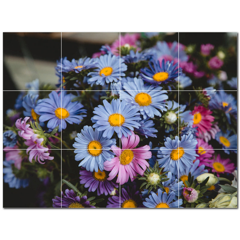 Fleurs photo 12 x 12