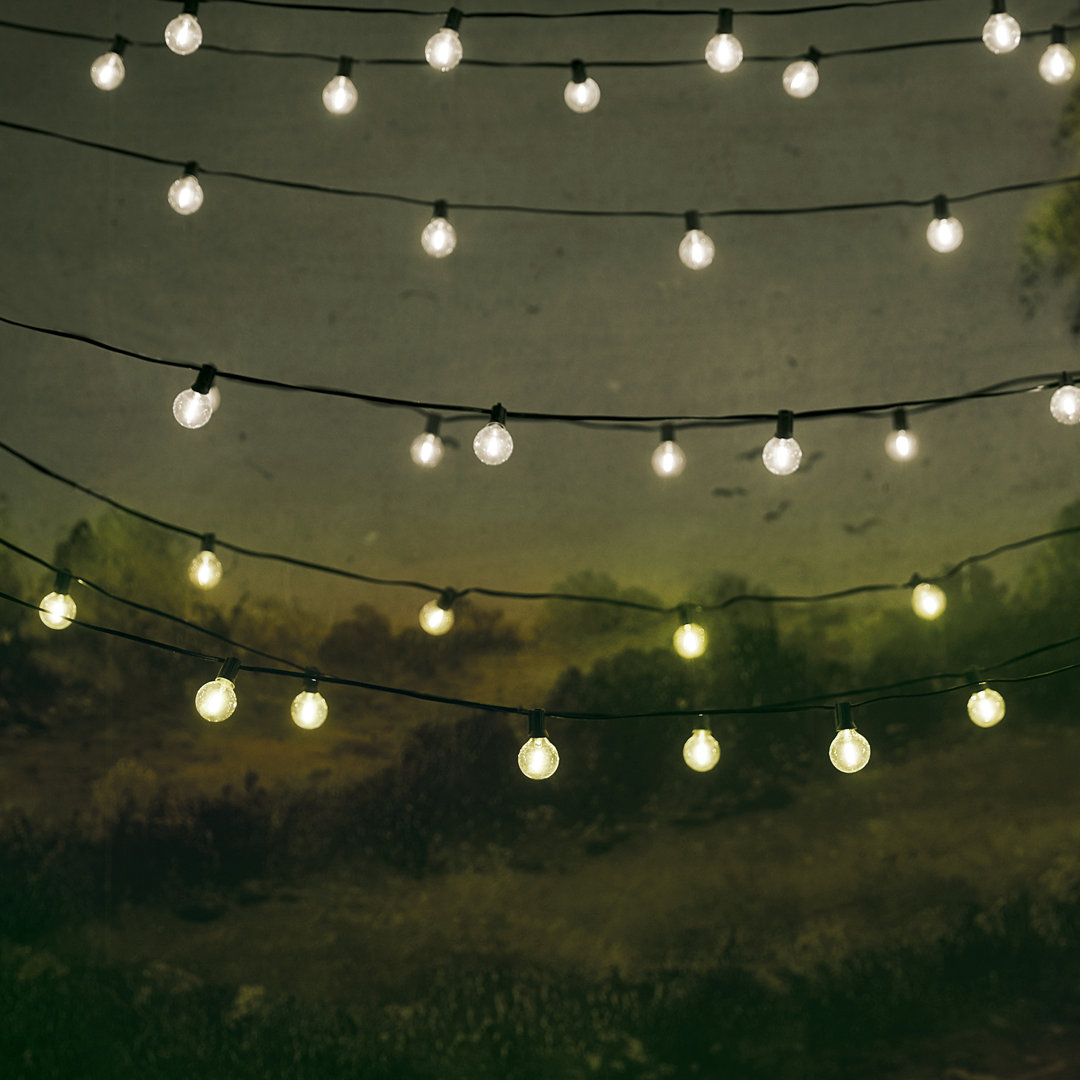 Kinsley 20 - Bulb 240'' Plug-in Globe String Light (Set of 2) Birch Lane™