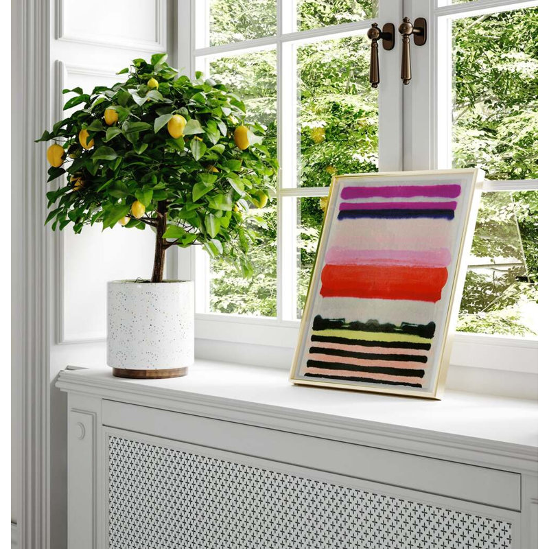 Vibrant Stripe By Kristi Kohut, White Wood, 18" H x 24" W