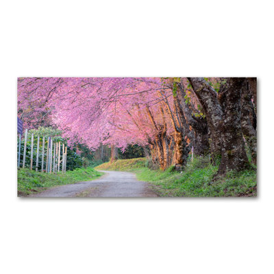 Cherry Blossoms - Wrapped Canvas Print