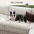 Abramson 120.5in White L-Shaped Modular Reversible Cloud Sofa-1317561445
