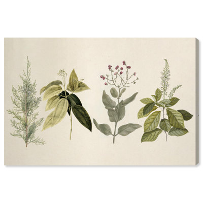 Branch Selection Canvas by Art Remedy