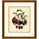 Vivid Berries Print
