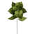 Vert clair