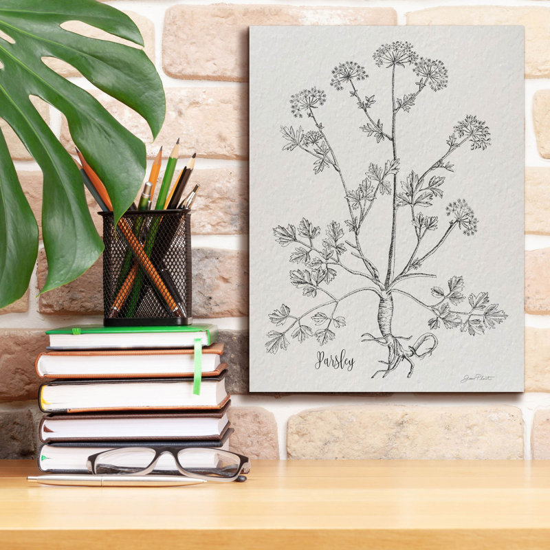  «Botanical Études sur papier B» par Jean Plout, art mural sur toile, 12 po x 16 po, H 16 po x l 12 po