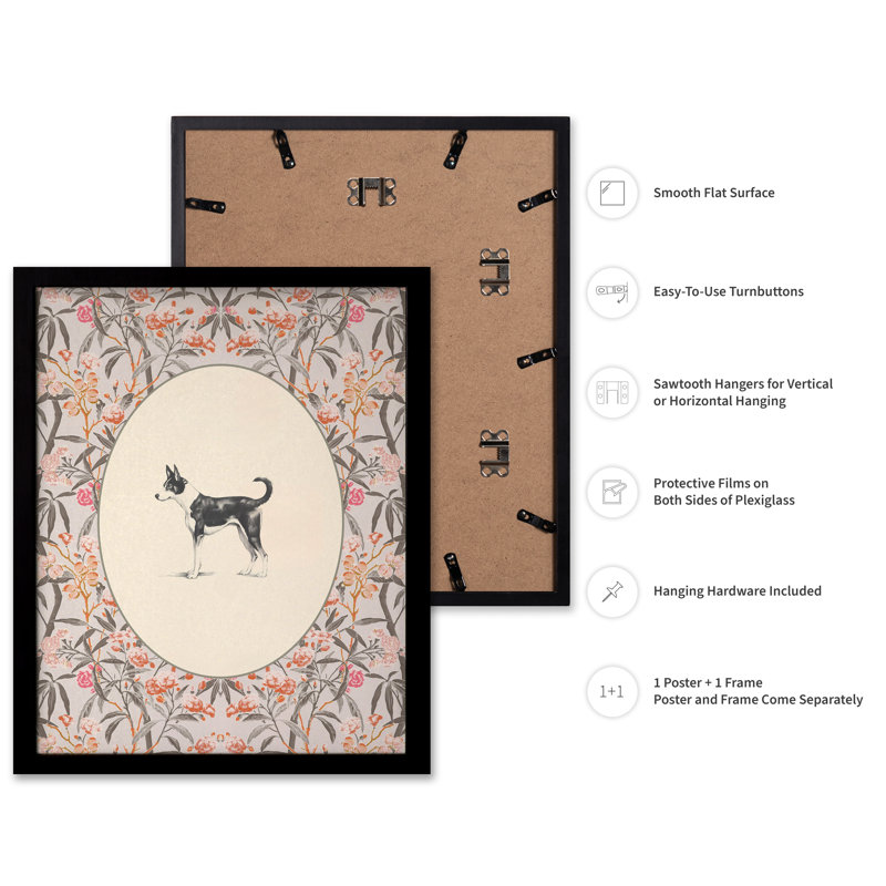 Portrait de Basenji, Cadre noir, Affiche, H 24 po x l 32 po