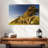 Slope Point Forest-792923569