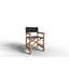 Folding Director Chair-113112993