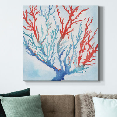 " Galapagos Coral "