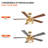 Rippeon 52'' Ceiling Fan with Light Kit-648324877
