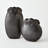 Sand Dollar Vase-Lg-105318163