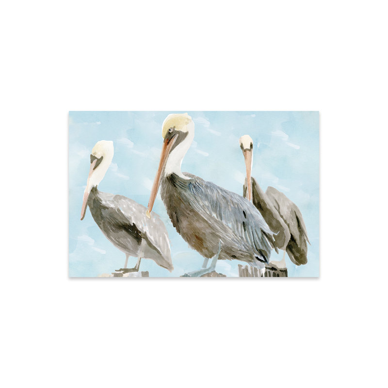 «Soft Soft Pelican III» par Stellar Design Studio - impression non encadrée, H 16 po x l 24 po x P 0,25 po