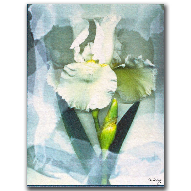 Sheer White Iris Canvas Art with Frameless Presentation