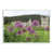 Plaque murale n'est pas disponible