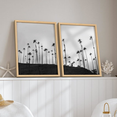 Reproduction d'art mural encadrée, noir et blanc, paysage de palmier tropical, photographie de la nature, paysage, illustration décorative pour le salon, la chambre à coucher, le bureau