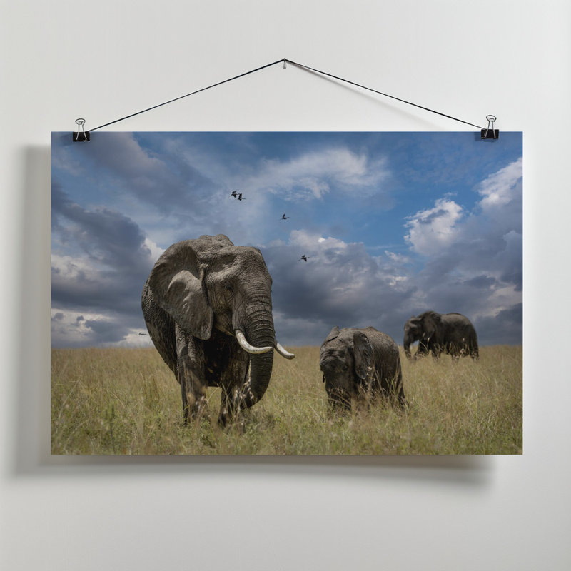 Wrapped Canvas Print, 50.8cm H x 76.2cm W