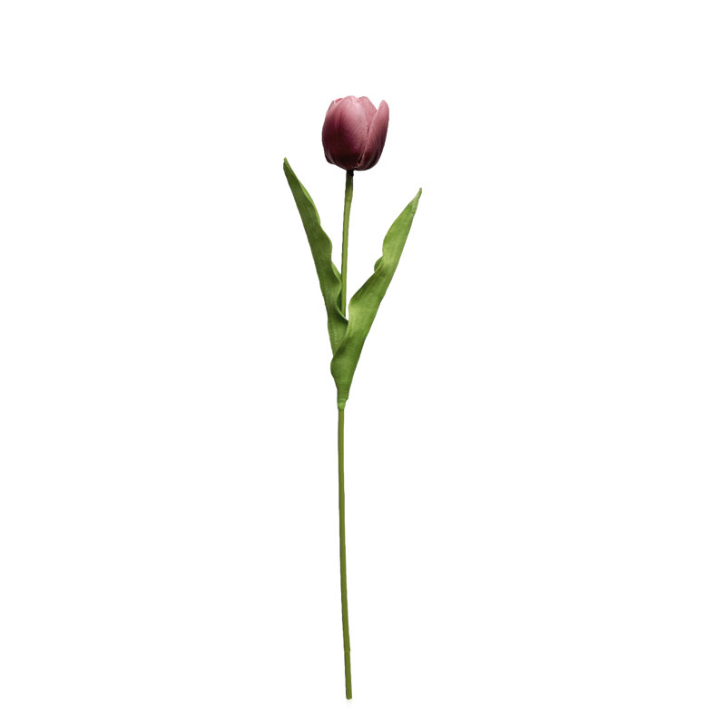 Tiges de tulipes, Mauve