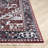 Donnetta 300 Performance Oriental Rug-851038767