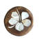 Botanical Flower Hibiscus 1.7" Round Knob Multipack