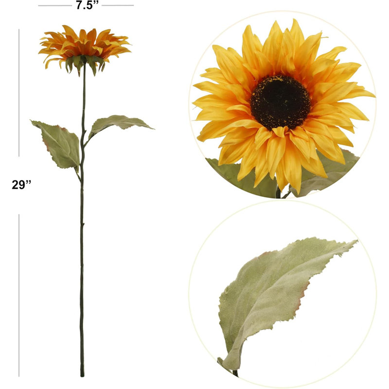 Tige de tournesol ensoleillée