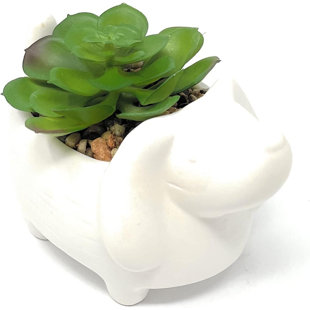Fausse plante grasse en céramique 4,7 po