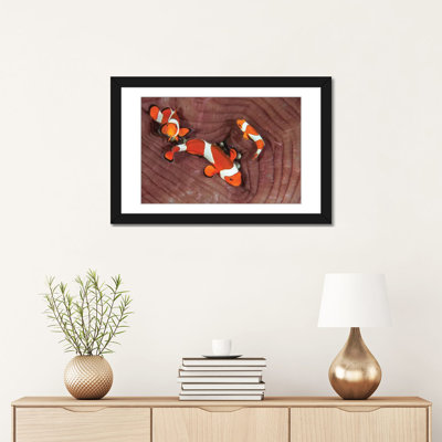 « false clownfishs », impression sur toile, reproduction d’art sur toile