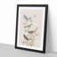 A Collection Of Finch Birds by John Audubon - Single Picture Frame Painting-55457716-55457712