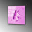 Boze Print on Glass