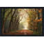 «Path of Dreams» par Lars Van de Goor - photographie-564908610-564908630