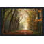 «Path of Dreams» par Lars Van de Goor - photographie-564908633-564908630