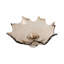 Bol en verre soufflé artisanal 15 "Padma Ivy Bronx
