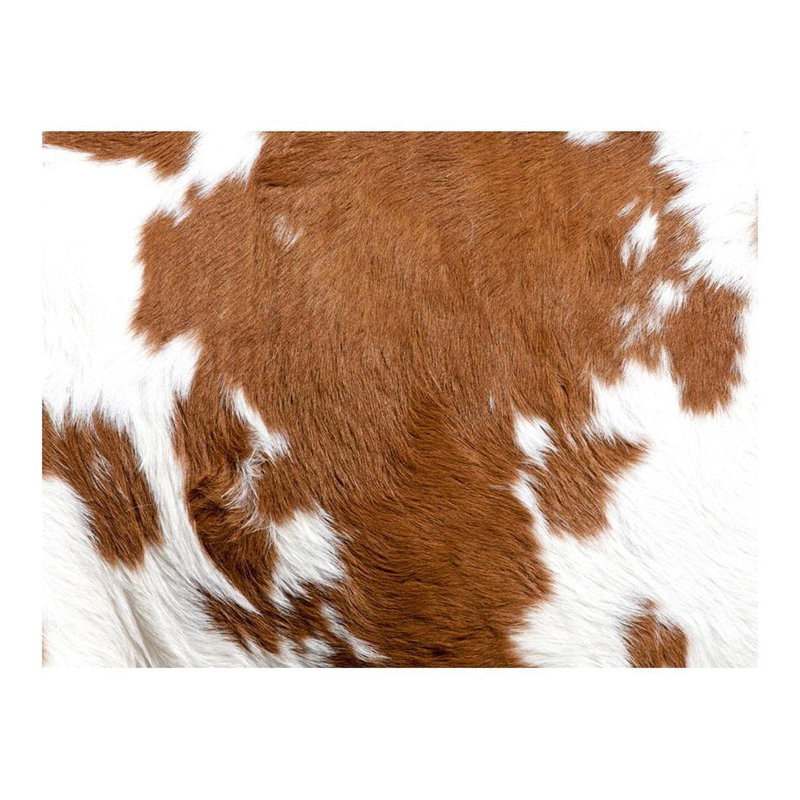 Murale en peau de vache Danaysia, L 121 po x l 157 po
