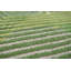 Abstract Area Rug-70781864