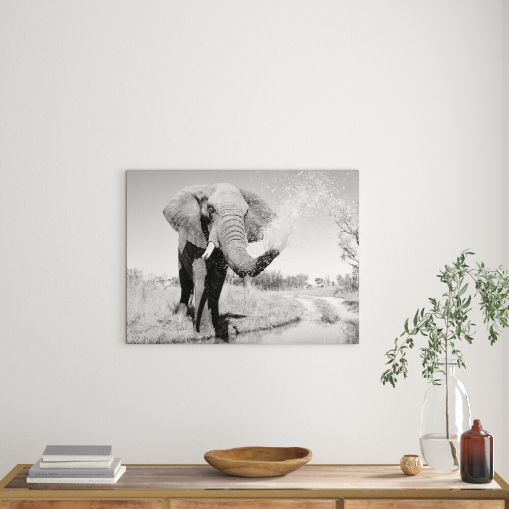 Leinwandbild „Schöner Elefant spritzt mit Wasser“, Fotodruck