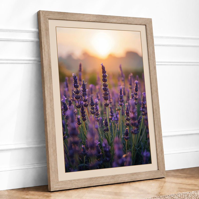 Lavender at Dawn Botanical - Framed Print, A2 - 59.4 x 42.0 cm, Oak
